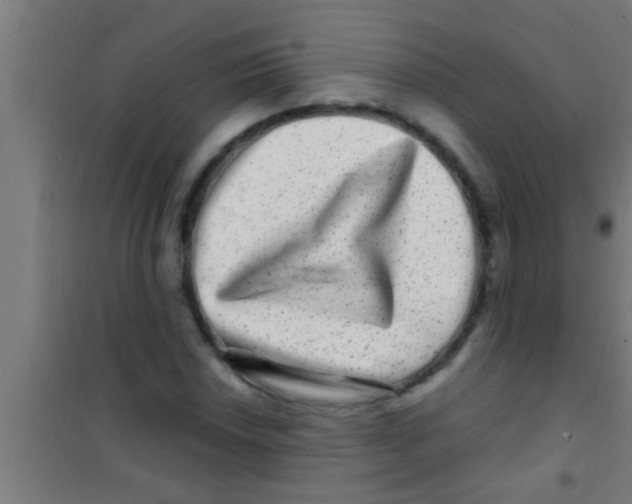 X0000100391018200807031944