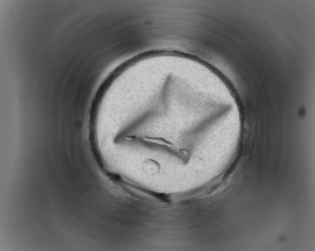 X0000100391020200807031944