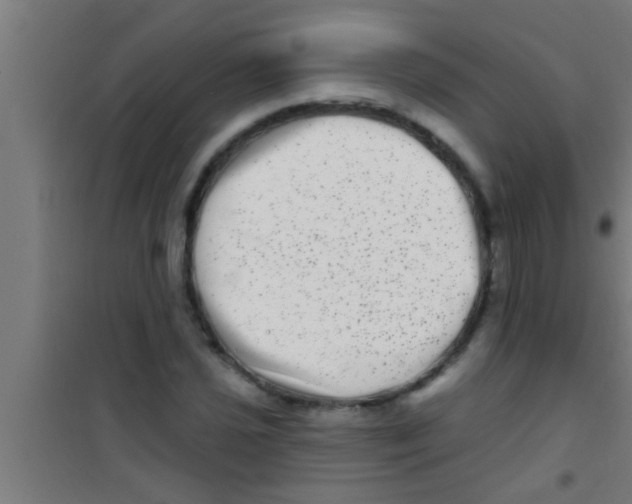 X0000100391021200807031944