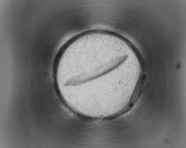 X0000100391022200807031944