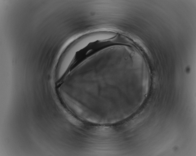 X0000100391024200807031944