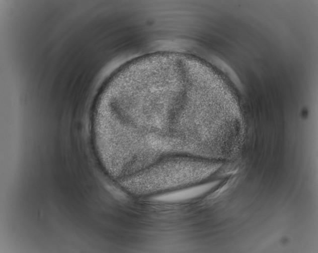 X0000100391027200807031944