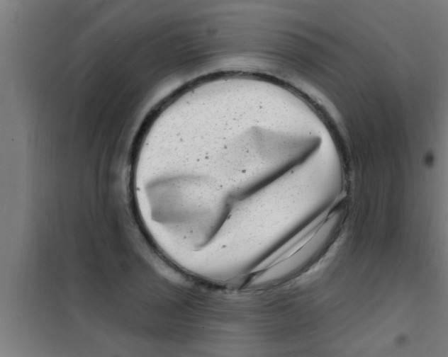 X0000100391029200807031944