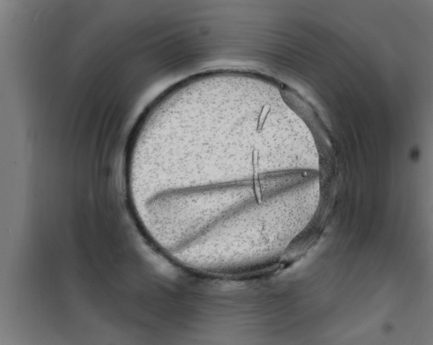 X0000100391030200807031944