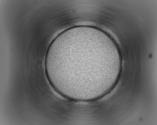 X0000100391033200807031944