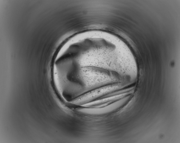 X0000100391034200807031944