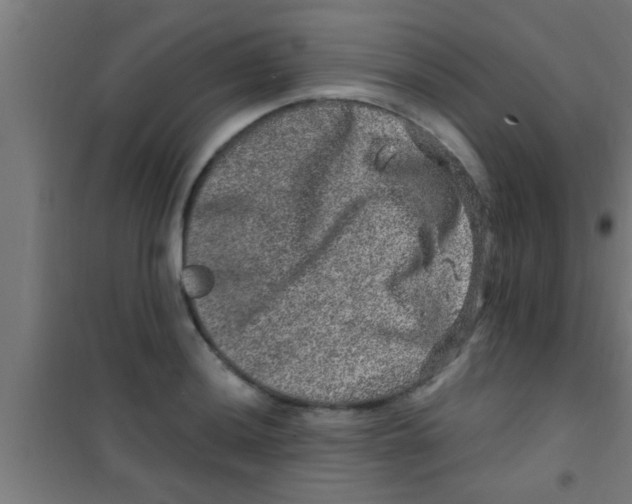 X0000100391036200807031944