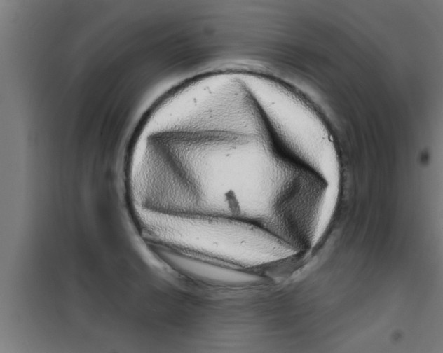 X0000100391038200807031944