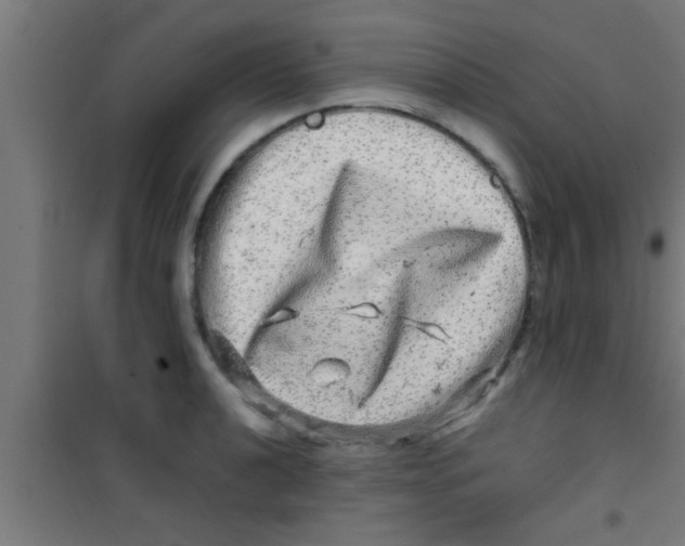 X0000100391040200807031944