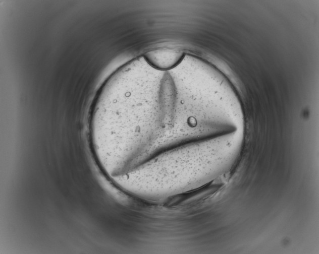 X0000100391042200807031944