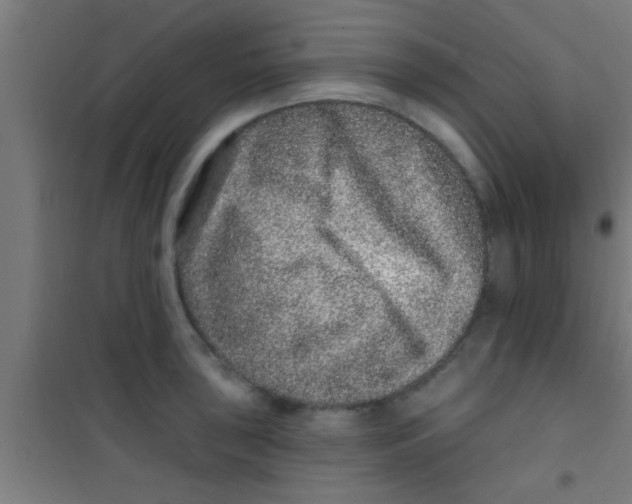 X0000100391043200807031945