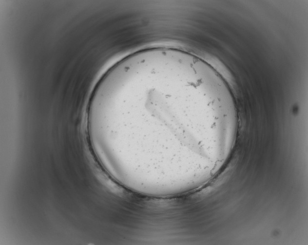 X0000100391044200807031945