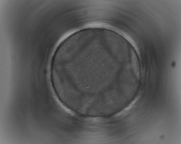 X0000100391045200807031945