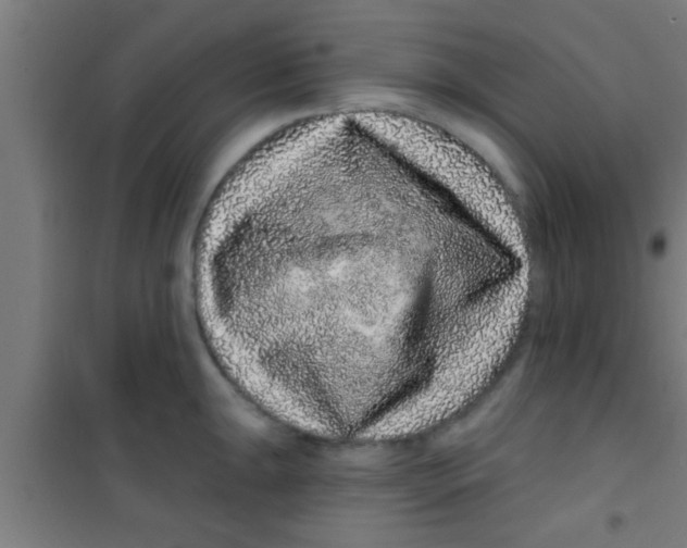 X0000100391047200807031945