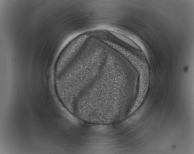 X0000100391048200807031945