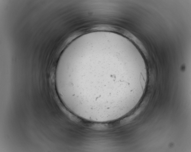 X0000100391049200807031945