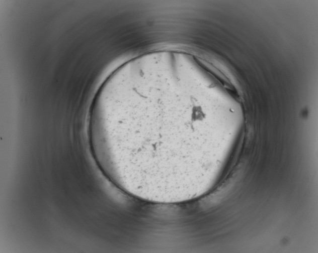 X0000100391050200807031945