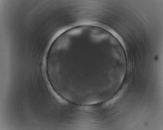 X0000100391053200807031945