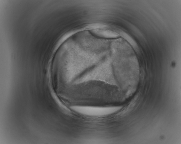 X0000100391055200807031945