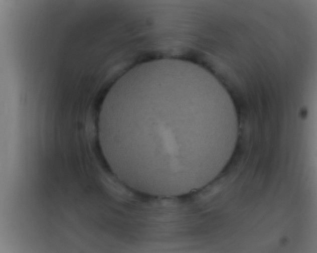 X0000100391058200807031944