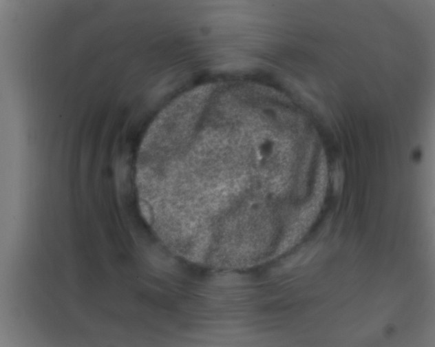 X0000100391059200807031944