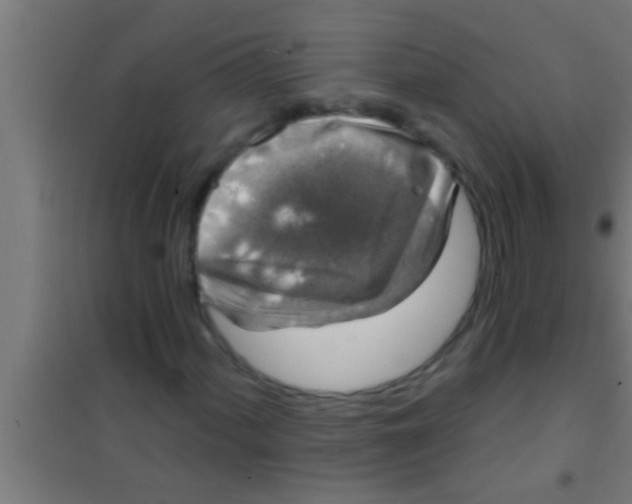 X0000100391060200807031944