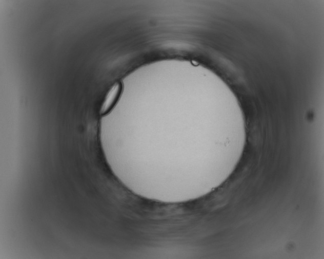 X0000100391061200807031944