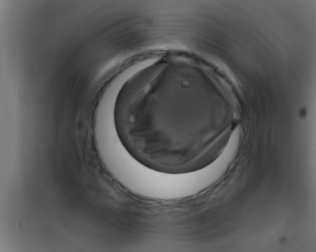 X0000100391064200807031944