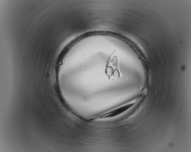 X0000100391069200807031944