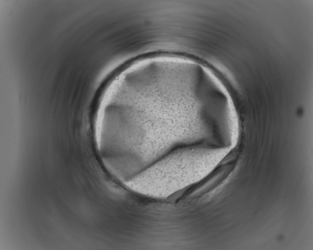 X0000100391070200807031944