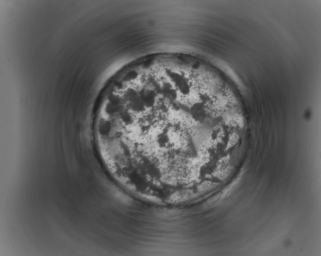 X0000100391071200807031944