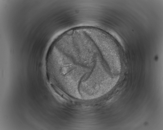 X0000100391072200807031944