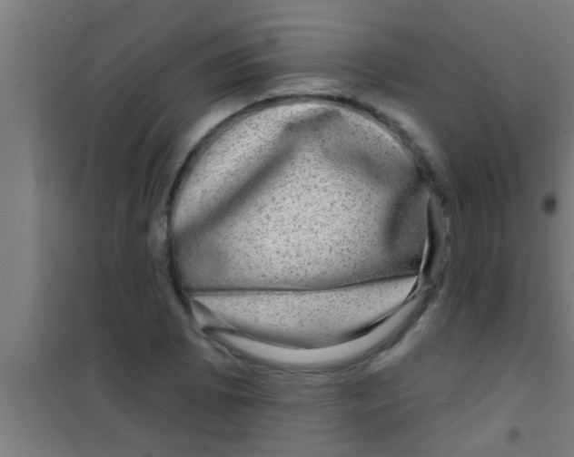 X0000100391073200807031944