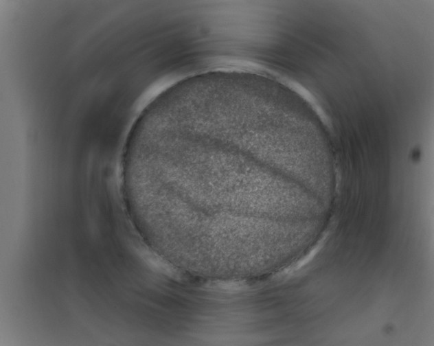 X0000100391074200807031944