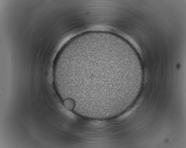 X0000100391075200807031944