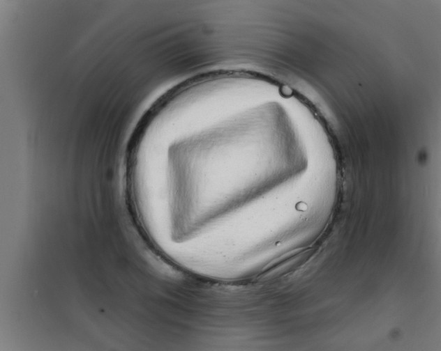 X0000100391076200807031944