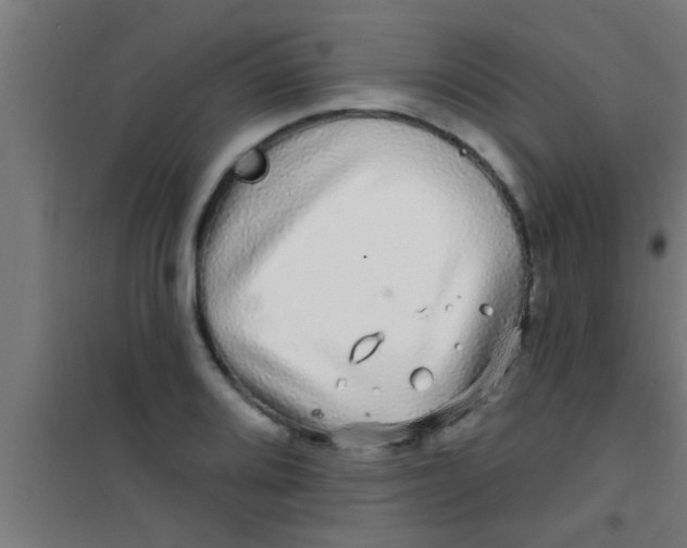 X0000100391080200807031944