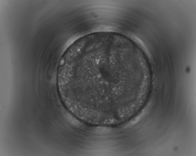 X0000100391081200807031944