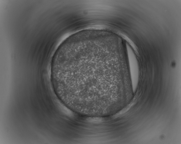 X0000100391083200807031944