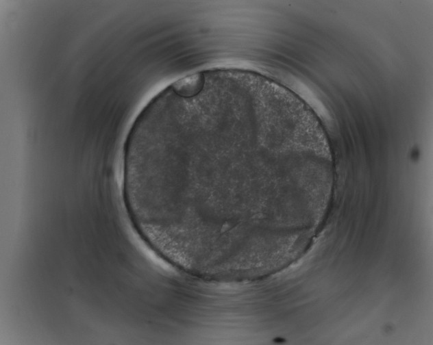 X0000100391084200807031944