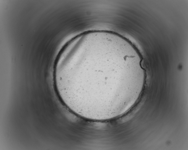 X0000100391085200807031944