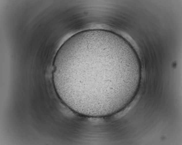 X0000100391089200807031944