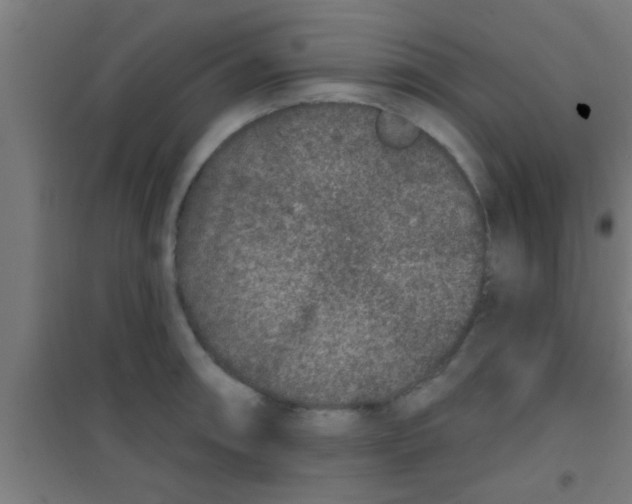 X0000100391090200807031944