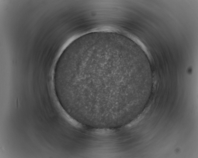 X0000100391091200807031944