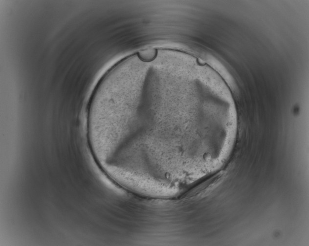 X0000100391092200807031944