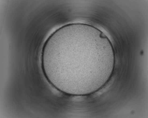 X0000100391093200807031944