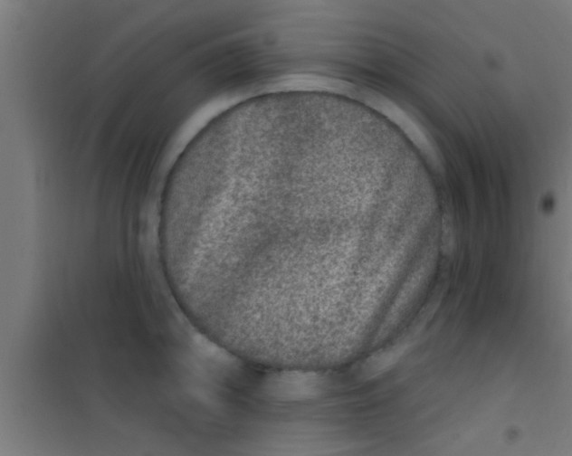 X0000100391094200807031943