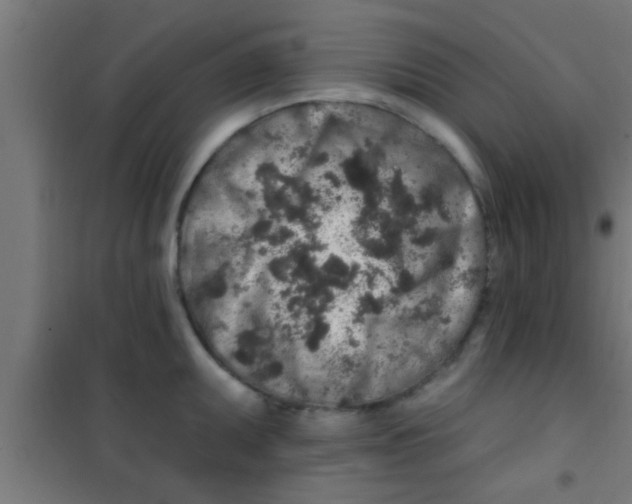 X0000100391095200807031943