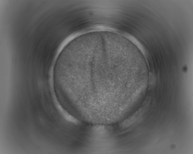 X0000100391098200807031943