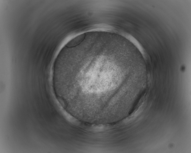 X0000100391099200807031943